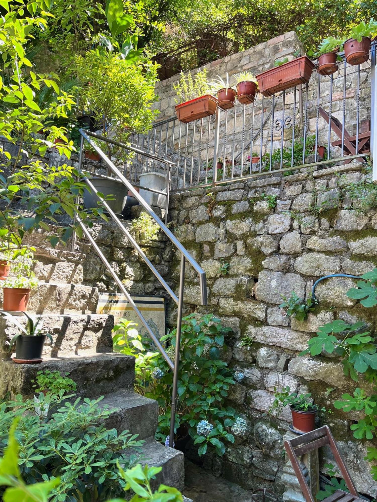 Healthystudio512 Apartments Kotor Extérieur photo
